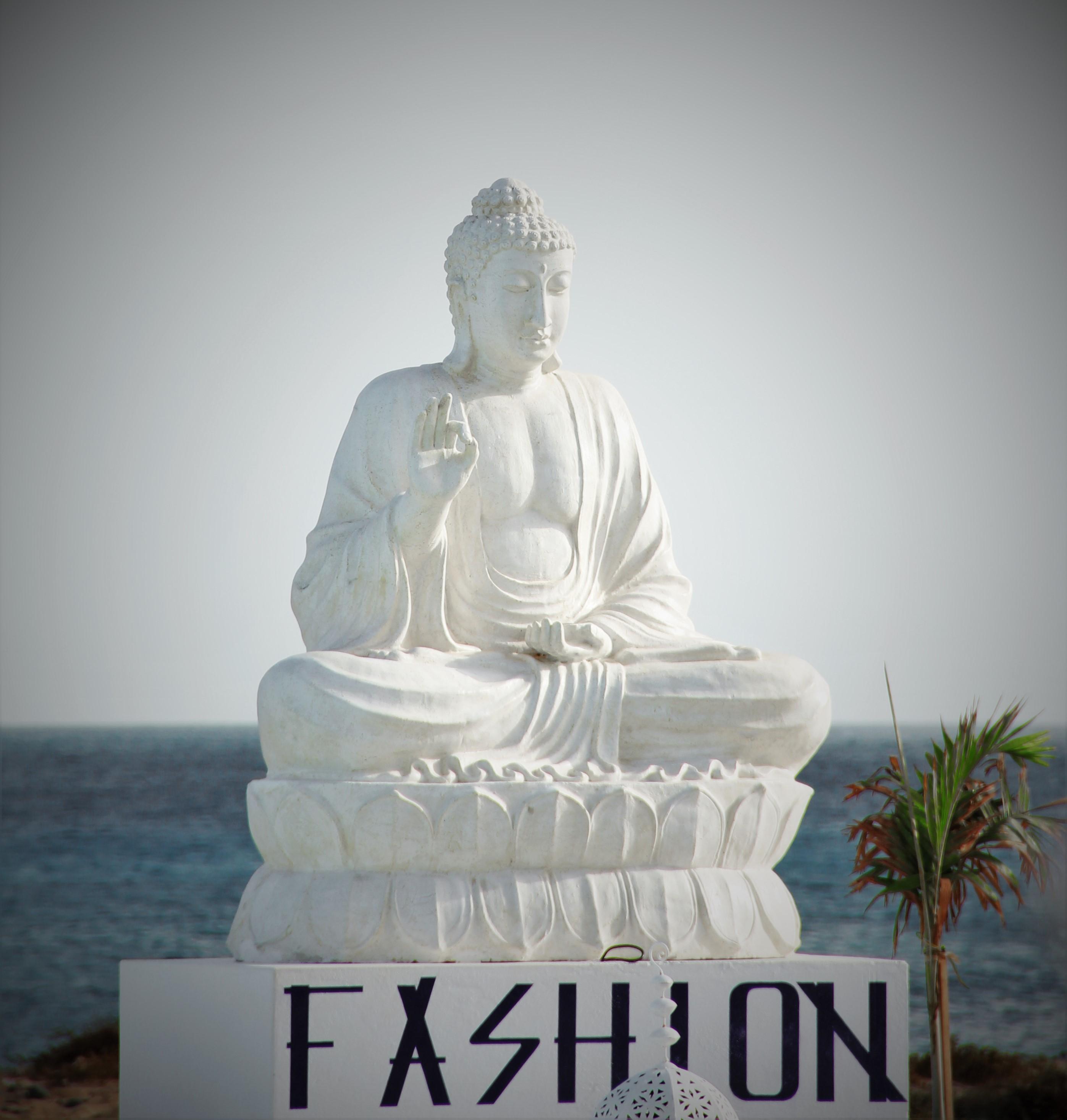 Hotel Livvo Budha Beach Santa Maria Eksteriør bilde